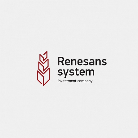 Логотип и фирменный стиль инвестиционной компании «Системное возрождение»